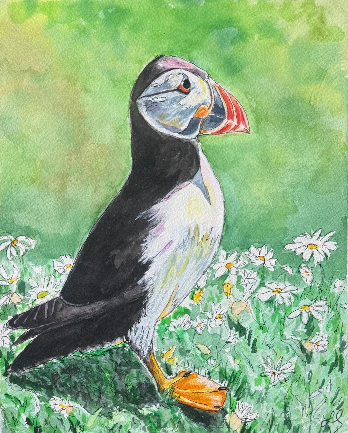 Puffin Bouquet