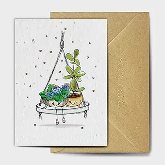 Seed Card - Summertime Swing