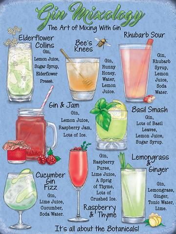 Gin Mixology Metal Sign