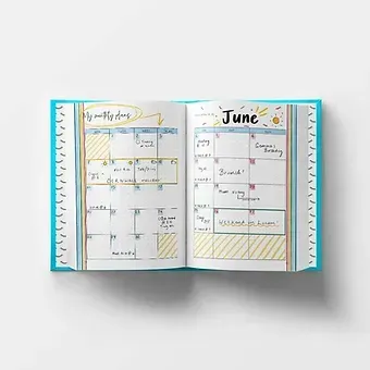 The Positive Bullet Diary