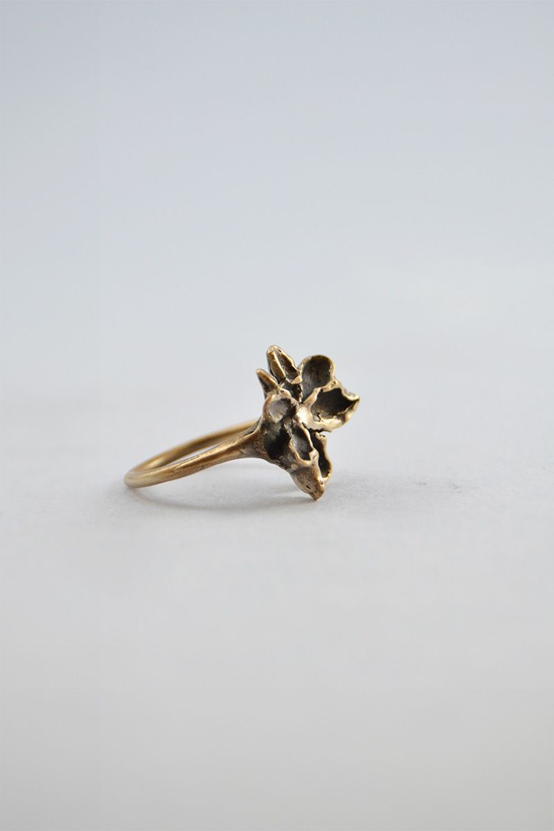 anello fusaggine