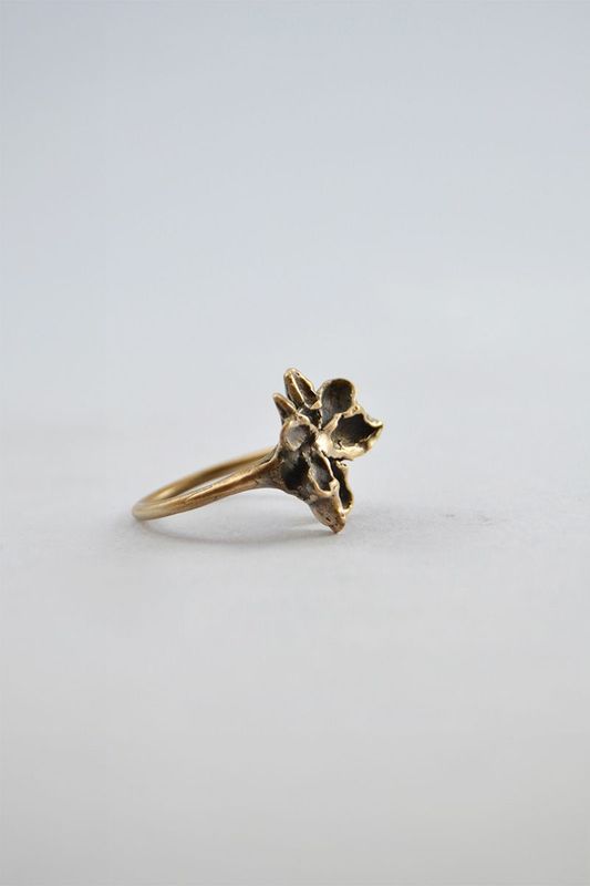 anello fusaggine