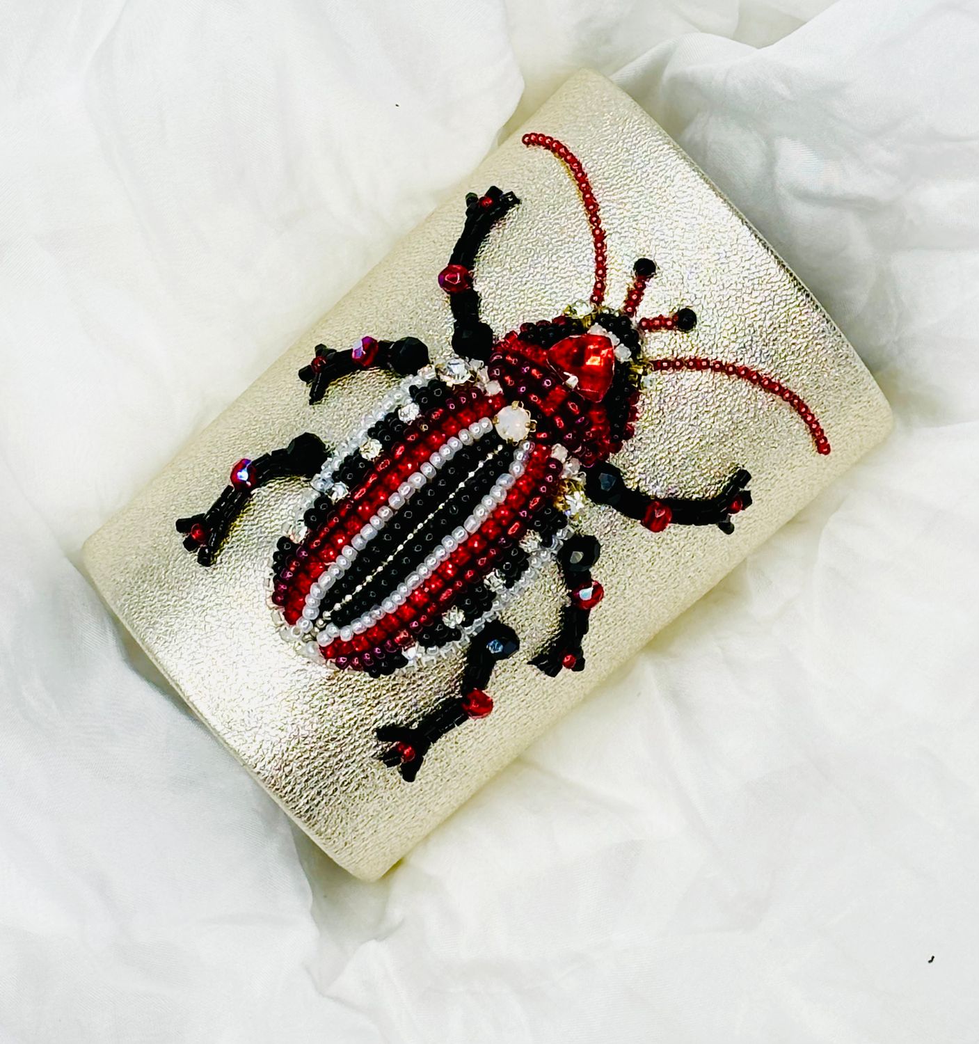 Big Black &amp; Red Beetle