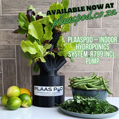 PlaasPod