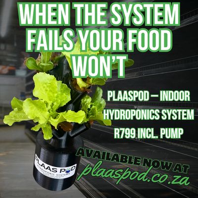 When the System Fails, Will You Still Be Eating?