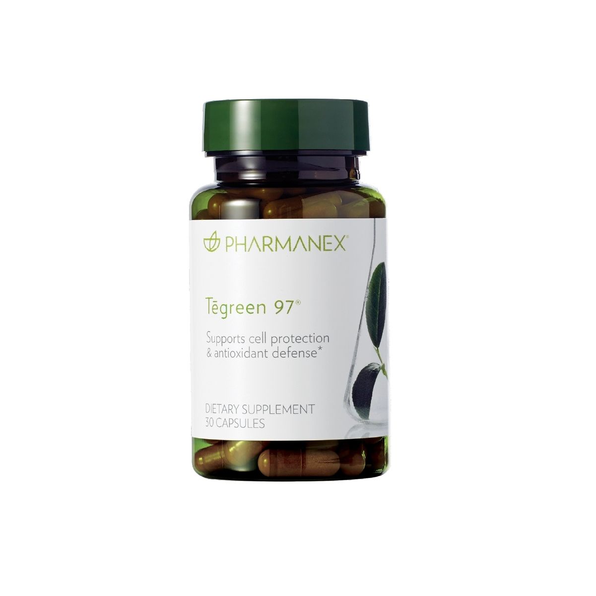 TeGreen 97 