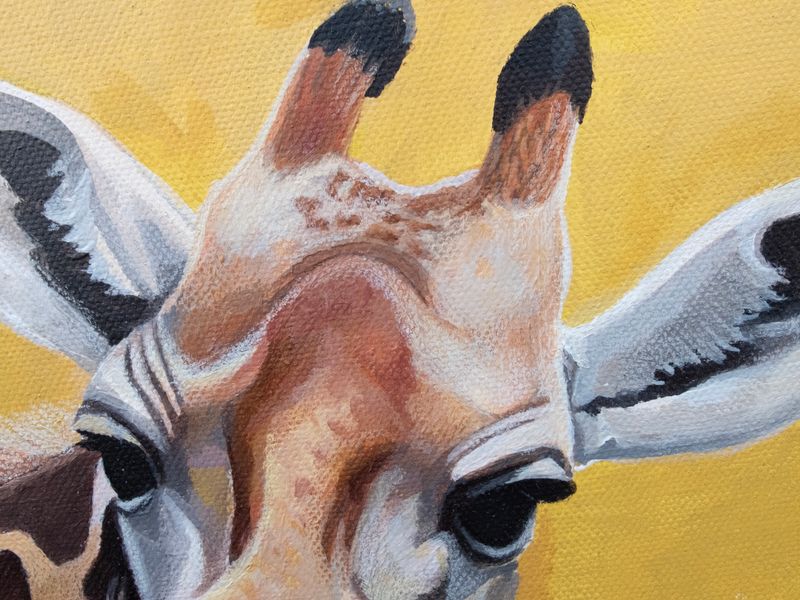 Giraffe