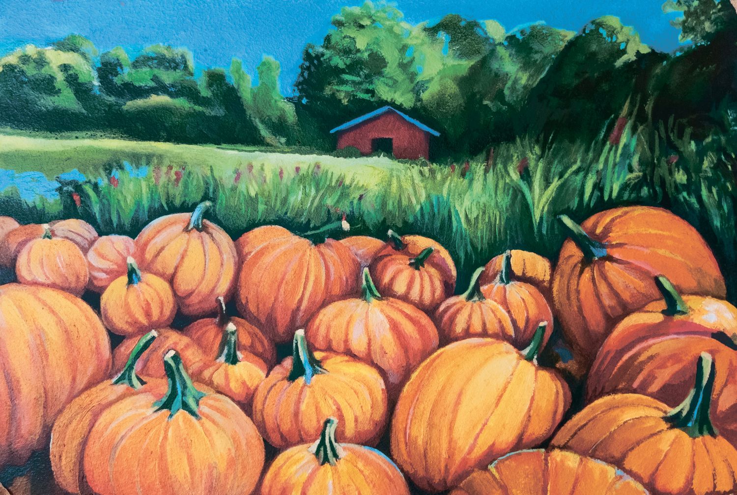 Pumpkin Patch