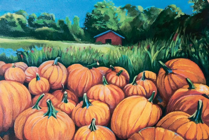 Pumpkin Patch