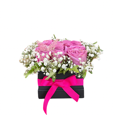 SPECIAL GARDEN BOX