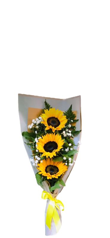 TRIO OF SMALL SUNFLOWERS