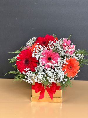 DELICATE  GERBERAS OF VARIOUS