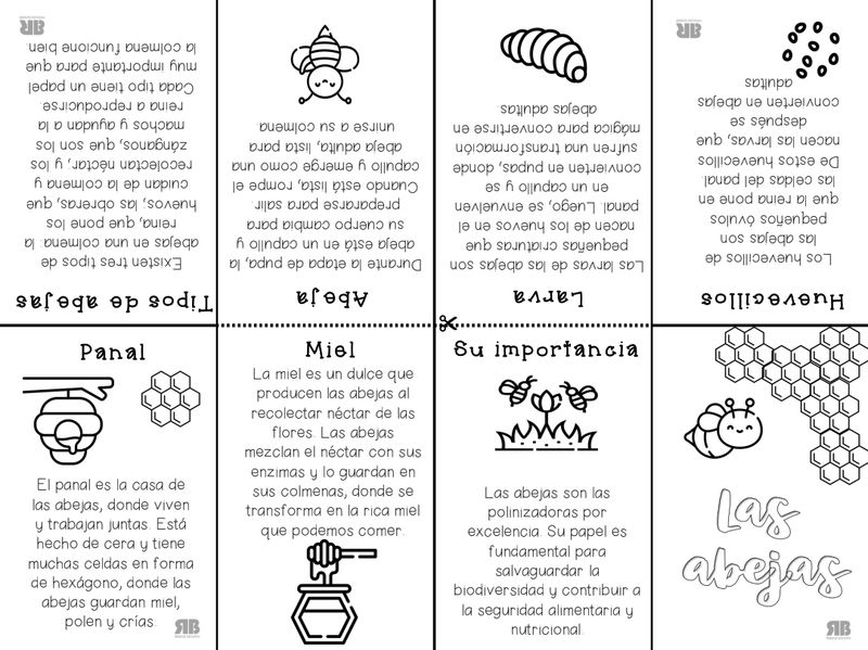 Minilibro las abejas 