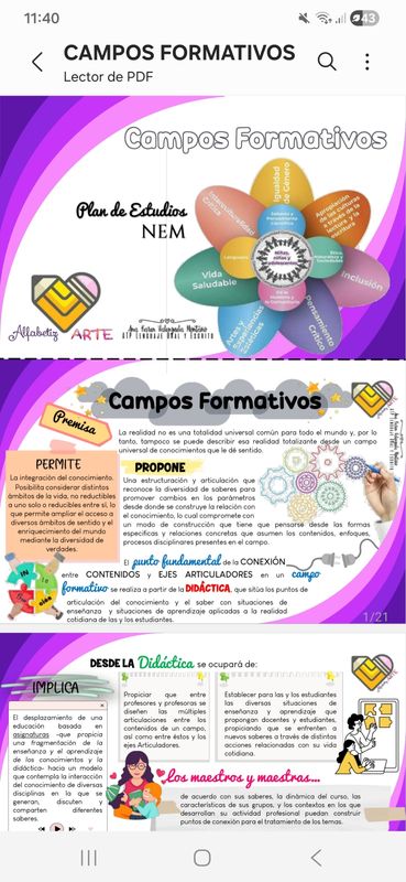 Campos Formativos