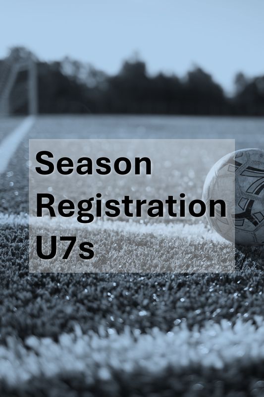 U7 (Boys and Girls born in 2019 - Mixed Team)