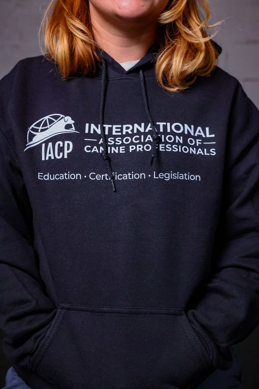 Education, Certification, Legislation Hoodie