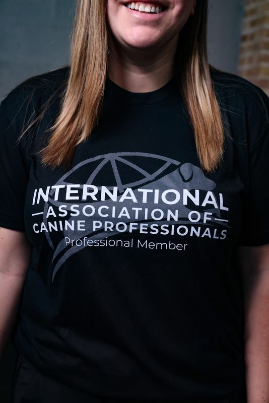 Professional Member T-Shirt