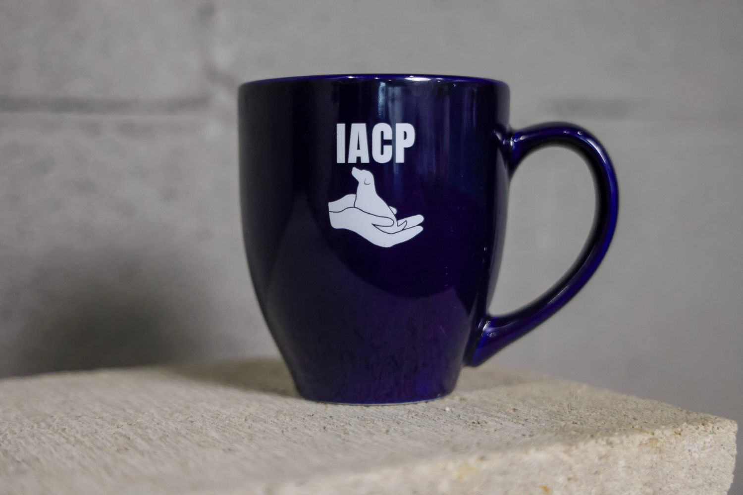 Vintage IACP Mug
