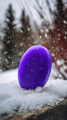 KOALUMI WINTER GROOVE