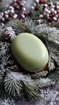 KOALUMI WINTER OASIS