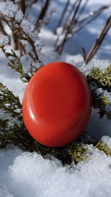 KOALUMI WINTER SUNRISE