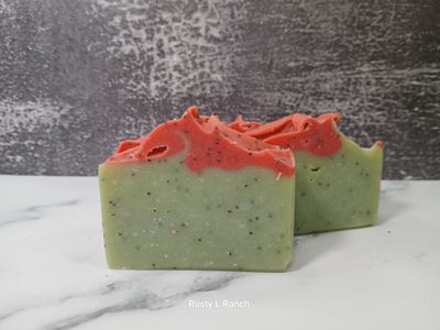 Watermelon &amp; Kiwi  With poppy seeds Travel Bar