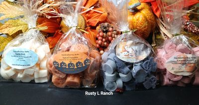 Limited Edition Fall Wax melts
