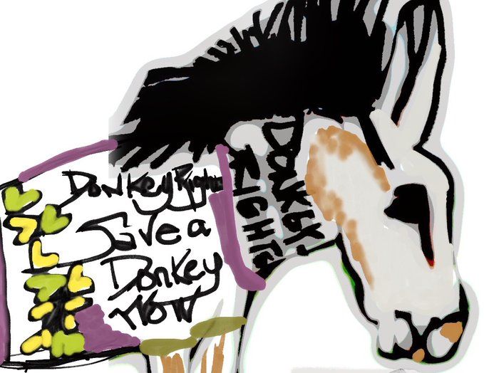 Donkeys Rights Activist