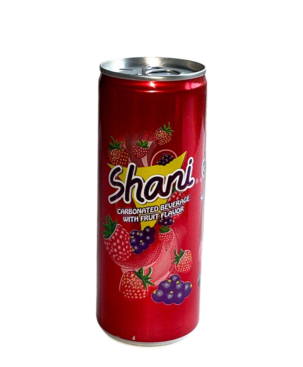 Shani Drink 24x250ml