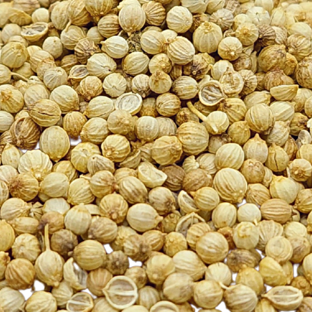Coriander Whole