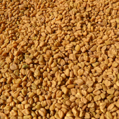 Fenugreek Whole