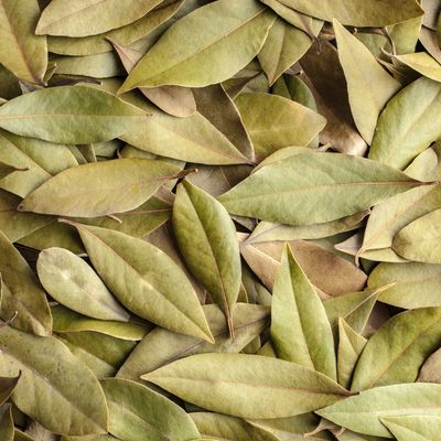 Bay Leaves