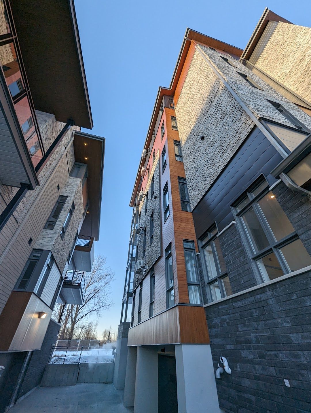 QUARTIER DE PINS