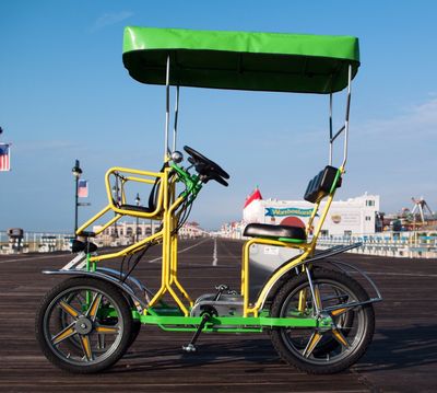 Selene Sport Surrey Bike