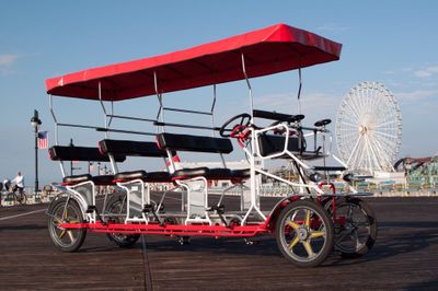 Selene Superbus Surrey Bike