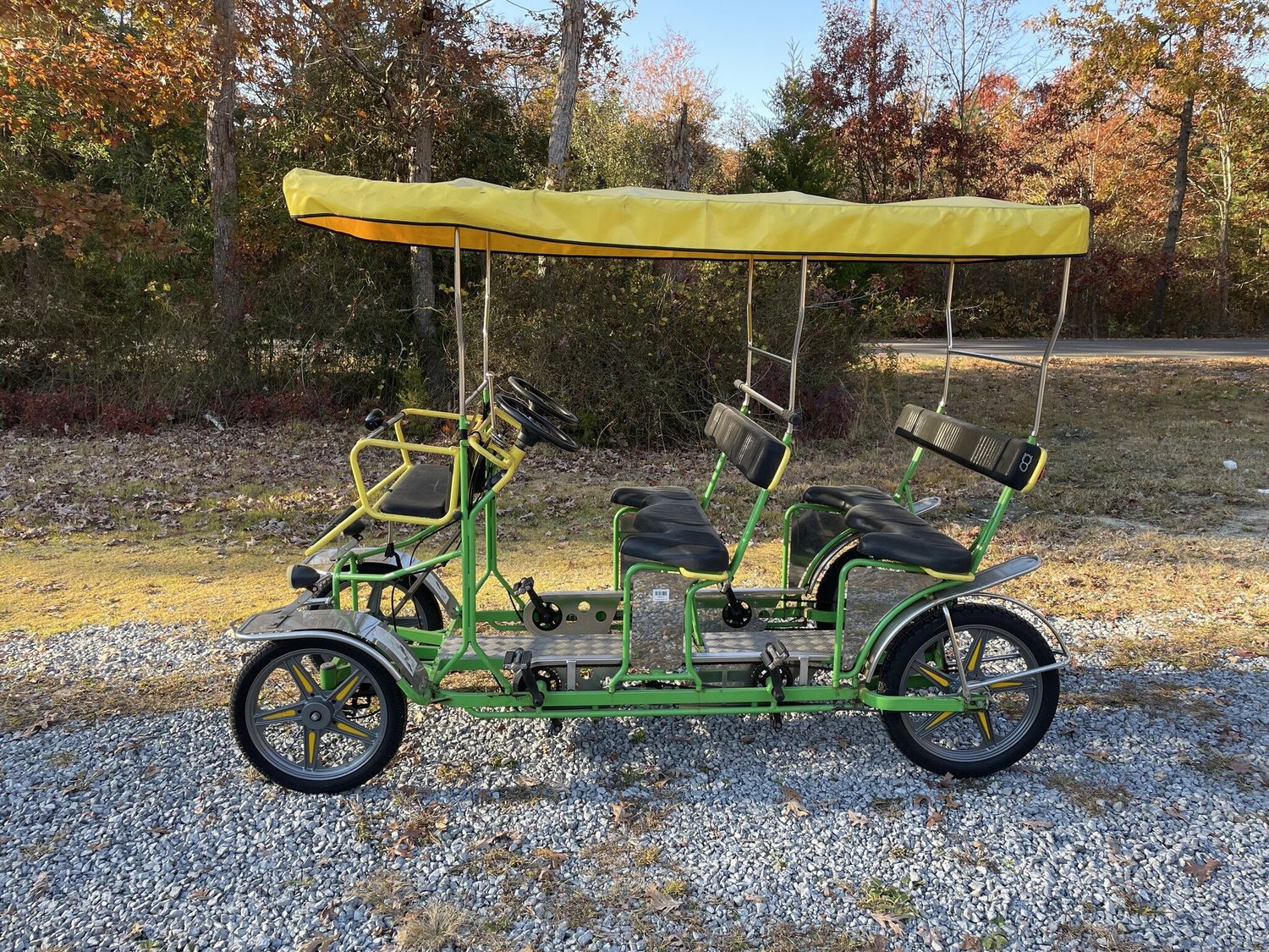 Used 2019 NewTecnoArt Selene Bus Surrey Bike 32 (Green &amp; Yellow w/ Yellow Top)