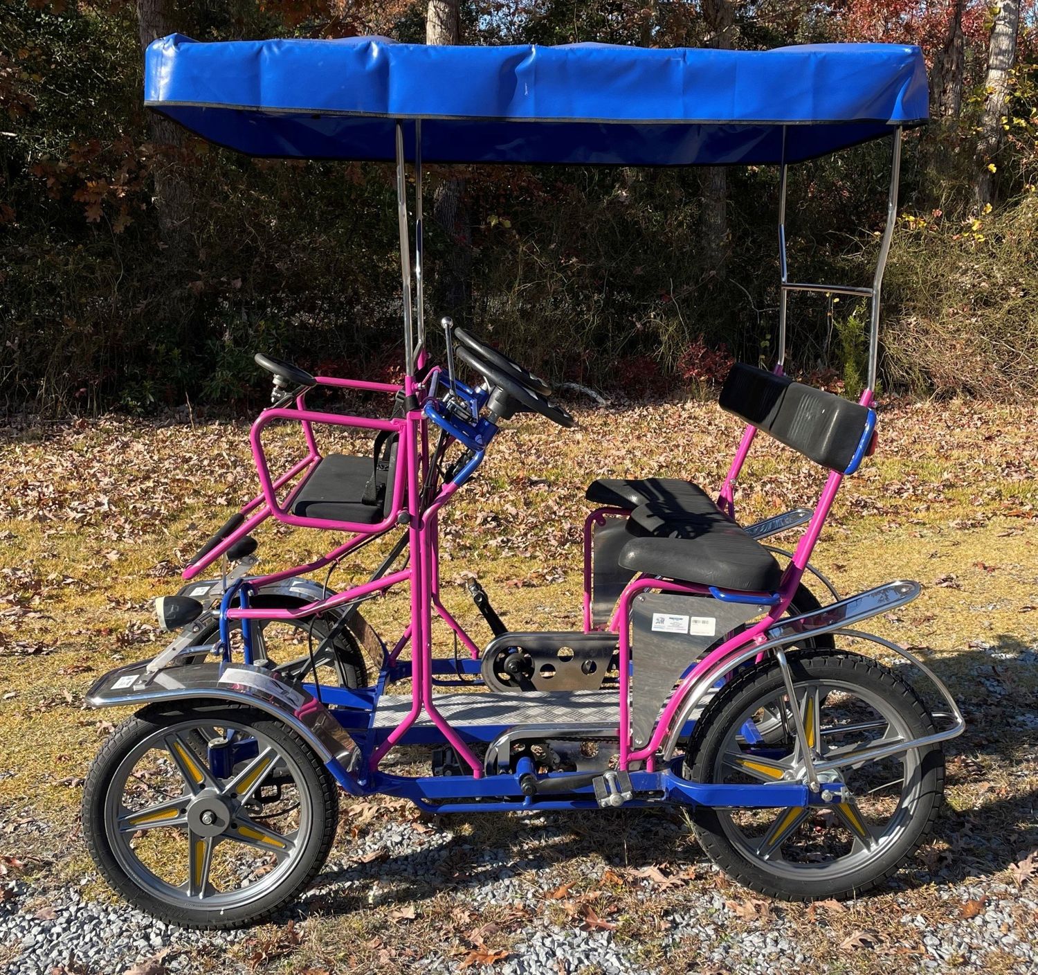 Used 2019 NewTecnoArt Selene Sport Surrey Bike (Blue &amp; Purple w/ Blue Top)