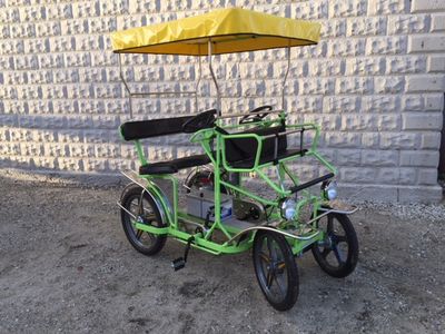Selene Sport Pedal Assistance