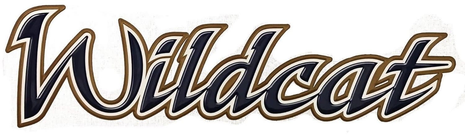 Forest River Wildcat Medium Exterior Decal #41