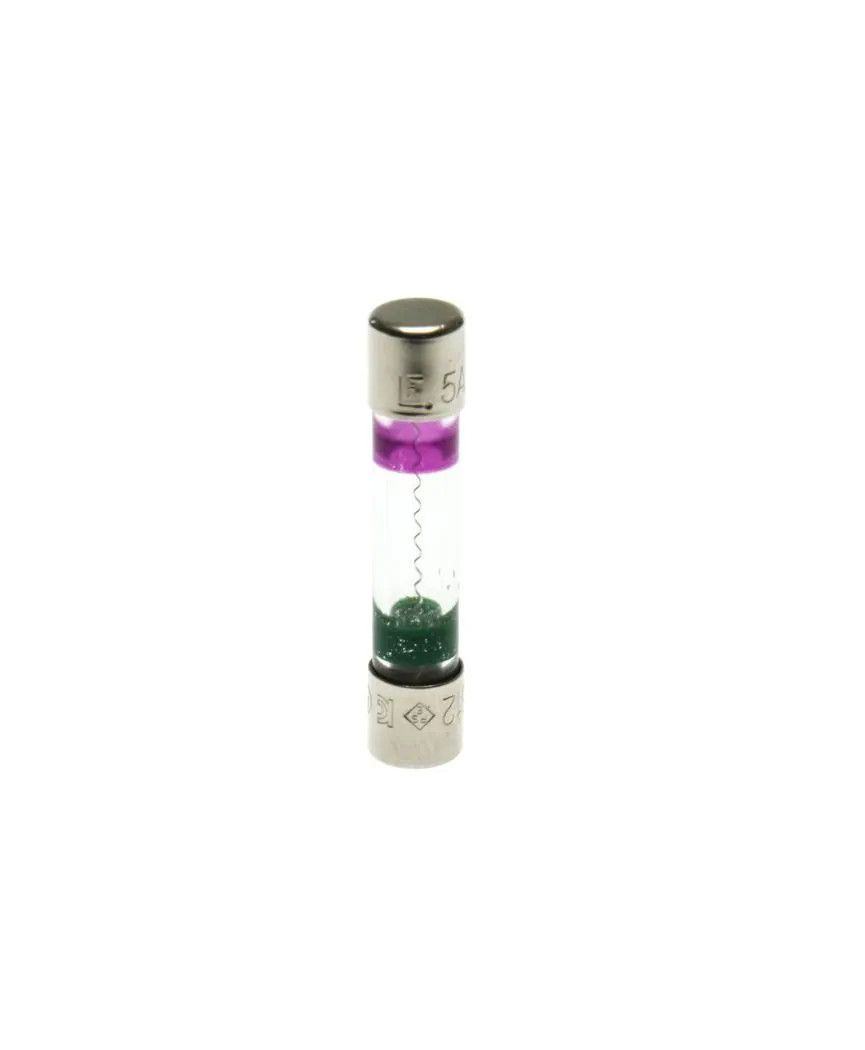 Dometic 5 Amp 312 Glass Fuse  2943542007