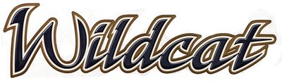 Forest River Wildcat Medium Exterior Decal #41