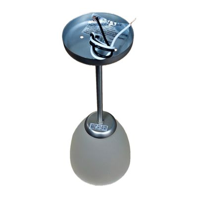 Frosted Glass Pendant Light Fixture