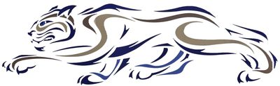 Decal #87 - Forest River Wildcat - Left