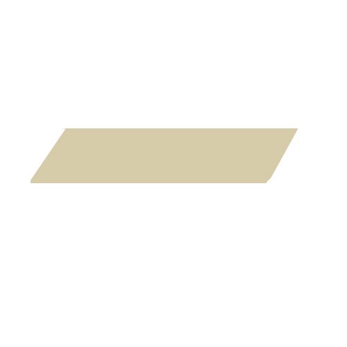 Decal #88 L - Keystone Cougar 2025 Side Die Cut #32LH