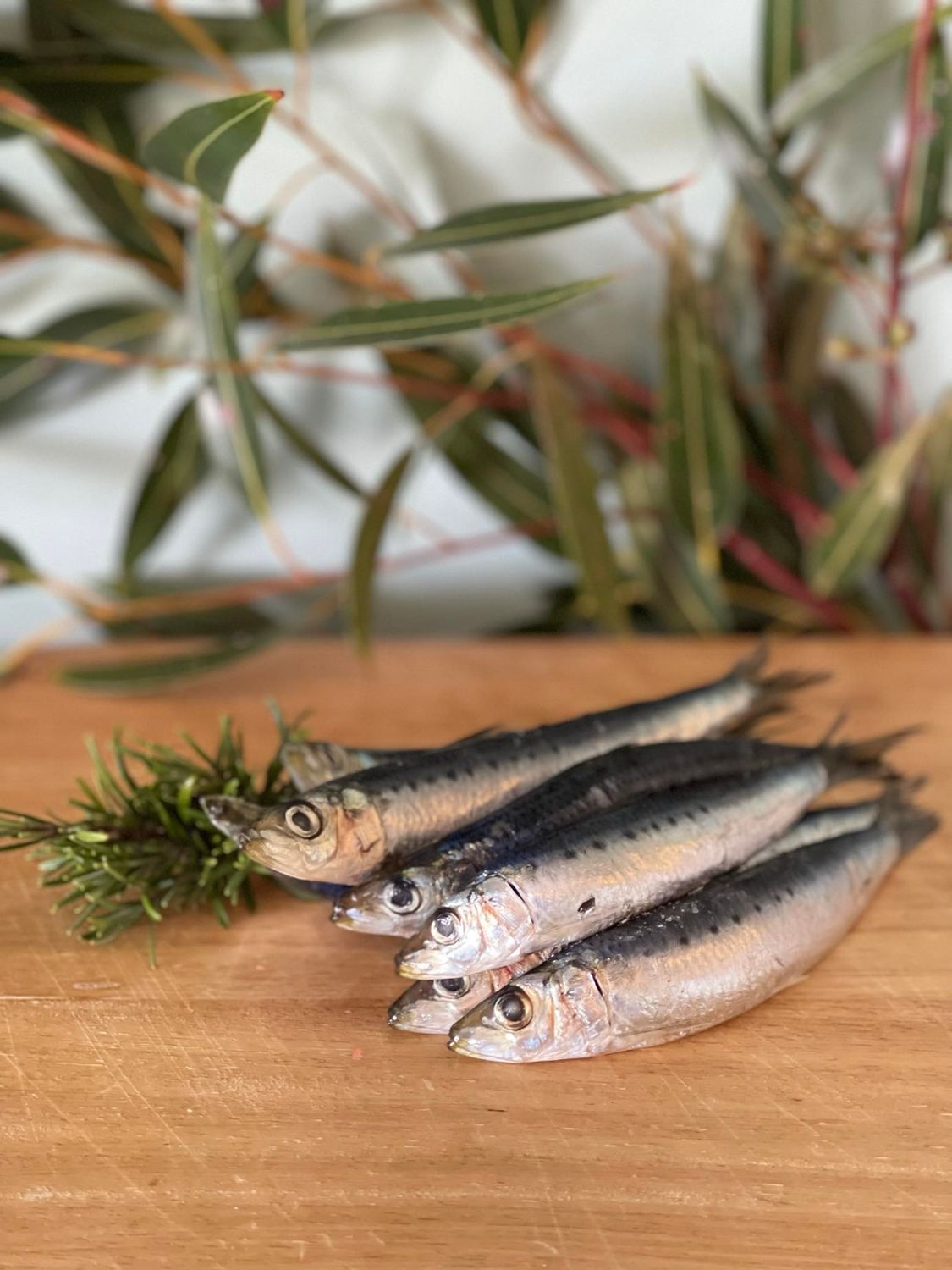Sardines (Frozen) 1kg
$8.49