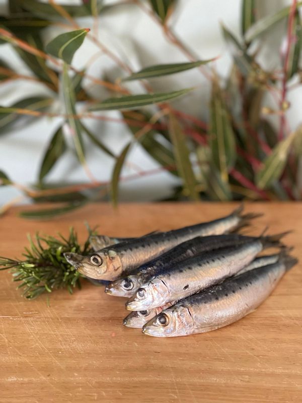 Sardines (Frozen) 1kg
$8.49