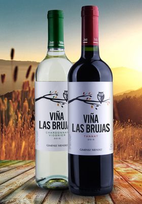 VIÑA LAS BRUJAS