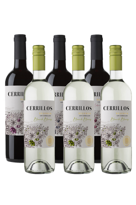 PACK CERRILLOS TINTOS Y BLANCOS