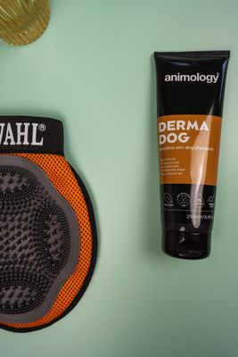 Dog Grooming