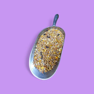 Bird Food